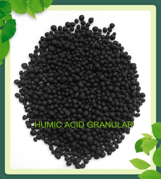 humic acid granule